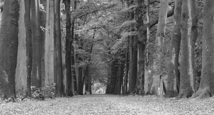 Uitgeverij Ten Have De Acht Grote Lessen Van De Natuur